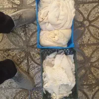 سیرابی گوساله