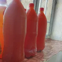 آب غوره درجه 1