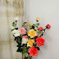 گل رز