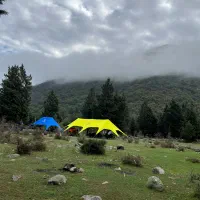 شراکت سرمایه در تورهای گردشگری