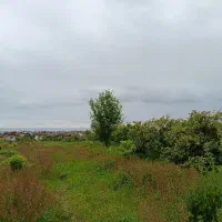 12000-متر-زمین-در-رامسر