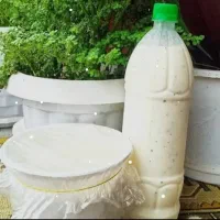 دوغ محلی گوسفندی