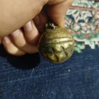 قورچه سگ برنج