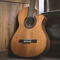 اموزش گیتار وخوانندگی
