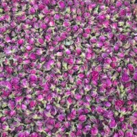 غنچه گل محمدی درجه یک ممتاز صادراتی