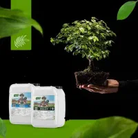 کود محرک رشد و هیومیک اسید