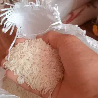 برنج فجر سوزنی با عطر بوی  و خوش پخت سورت شده