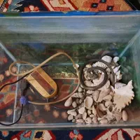 اکواریوم