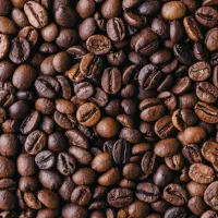 فروش دان و پودر قهوه به صورت عمده