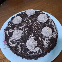 کیک بی بی، ردولوت،شکلاتی،کوکی