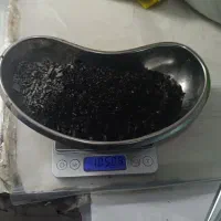 آمالگام