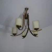 لوسترپروفیلی