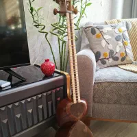 تار با مهر رضوی