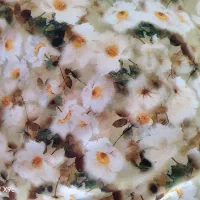 پارچه نخی مناسب چادر و لباس
