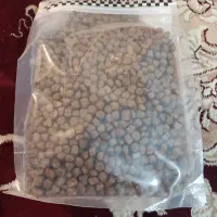 غذای خشک گربه