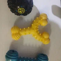 لوازم سگ