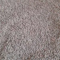 عدس|خوردنی و آشامیدنی|اردبیل, |دیوار
