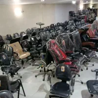 صندلی  با پرنده‌های مختلف نیلپر لیو  راین صنت و...