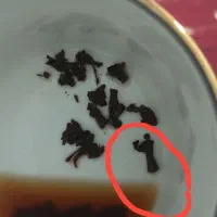 فال چایی ۳۰۰
