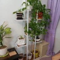 استند جا گل ۹ تای