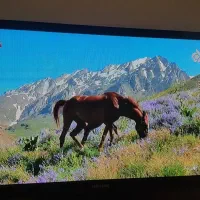 تلویزیون 3D  سامسونگ