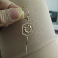 گوشواره گمشده