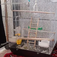 قفسه عروس هلندی ۴۱ طول ۳۴ عرض ۷۰ ارتفاع