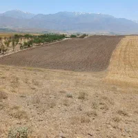 فروش ۱۵ هرازمتر زمین کشاورزی