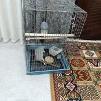 قفس بزرگ پرنده
