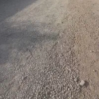 زمرد 276 متر/ قطعه جنوبی