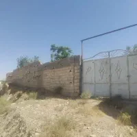 زمین دور دیوار  باغ  باغچه