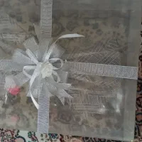 تعدادی طلق