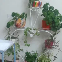 استند گل و گلدون