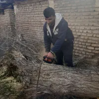 چوب باغ شمارو خریدارم