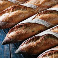 استخدام نیروی تولید نان حجیم (بیمه+پاداش+مزایا)