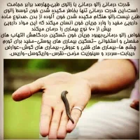 زالو درمانی،زالو