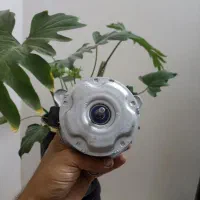 موتور فن دو دور و تک دور