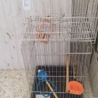 قفس پرنده
