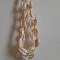 گردنبند صدفی