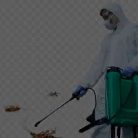 سم پاشی سوسک وساس  وموش وداروی شپش سرضمانتی
