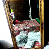 اینه قدی دیواری قاب چوب گردو