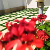 چمن مصنوعی با کیفیت