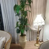 گلدان و گل برگ انجیری مصنوعی