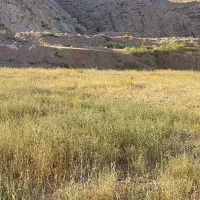 زمین-داخل-شهر-با-کاربری-کشاورزی