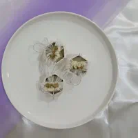 گیفت عروسی ،تولد