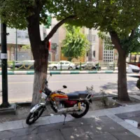 خانم ظرفشور رستوران خیابان ولیعصر پایین مختاری
