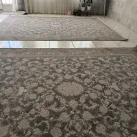 فرش پاتریس نونو