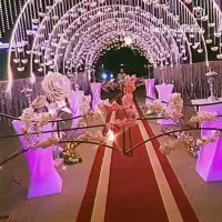 تشریفات عروسی . کیفیت و قدرت در اجرا