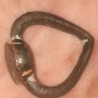 انگشتر باستانی خط شجر یا میخی