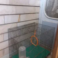 قفس